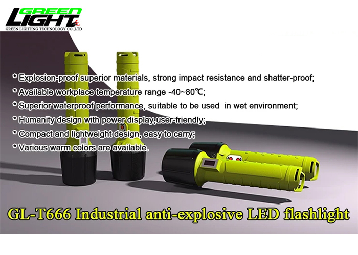 led torch4.jpg