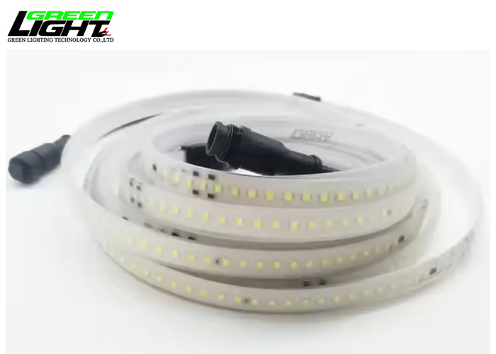 Anti-dust Waterproof IP68 Led Strip Lights High Lumen Silicone LED Light Strips AC220V for Mining