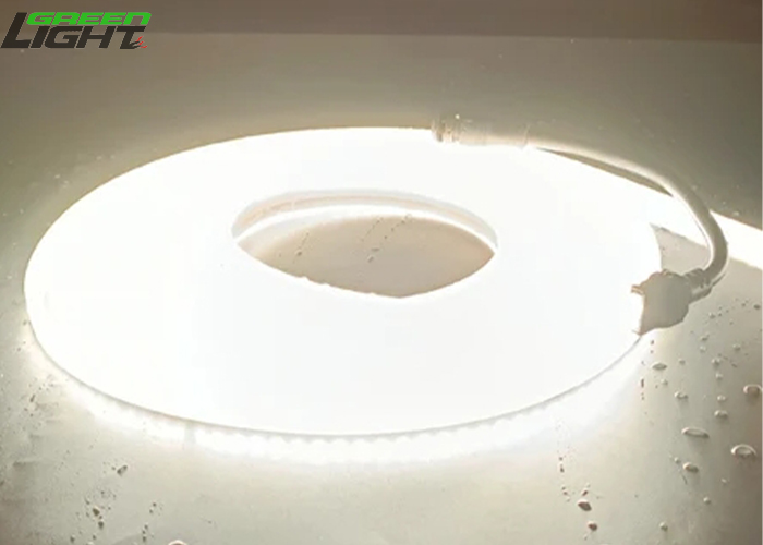 custom Anti-dust Waterproof IP68 Led Strip Lights High Lumen Silicone LED Light Strips AC220V for Mining online